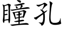 瞳孔 (楷体矢量字库)