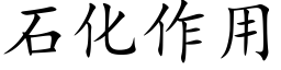 石化作用 (楷體矢量字庫)