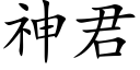 神君 (楷体矢量字库)