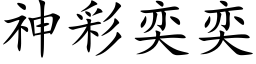 神彩奕奕 (楷体矢量字库)