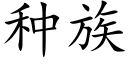 种族 (楷体矢量字库)