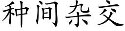 种间杂交 (楷体矢量字库)