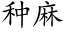 种麻 (楷体矢量字库)