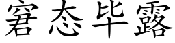 窘态畢露 (楷體矢量字庫)