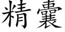 精囊 (楷体矢量字库)