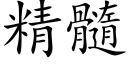 精髓 (楷體矢量字庫)