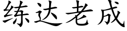 练达老成 (楷体矢量字库)