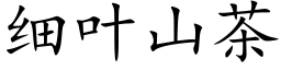 细叶山茶 (楷体矢量字库)