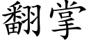 翻掌 (楷體矢量字庫)