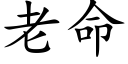 老命 (楷体矢量字库)