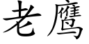 老鹰 (楷体矢量字库)