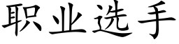 职业选手 (楷体矢量字库)