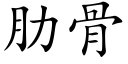 肋骨 (楷体矢量字库)