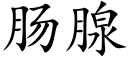 肠腺 (楷体矢量字库)