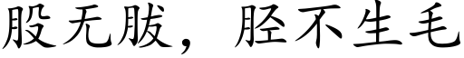 股无胈，胫不生毛 (楷体矢量字库)