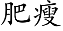 肥瘦 (楷体矢量字库)