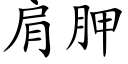 肩胛 (楷体矢量字库)