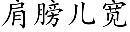 肩膀儿宽 (楷体矢量字库)