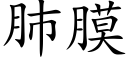 肺膜 (楷體矢量字庫)