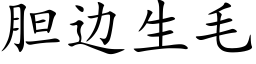 胆边生毛 (楷体矢量字库)