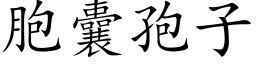 胞囊孢子 (楷体矢量字库)