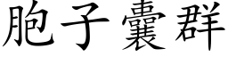 胞子囊群 (楷体矢量字库)