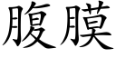 腹膜 (楷體矢量字庫)