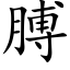 膊 (楷體矢量字庫)