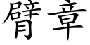 臂章 (楷体矢量字库)