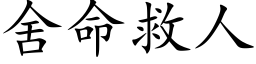 舍命救人 (楷体矢量字库)