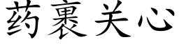 藥裹關心 (楷體矢量字庫)