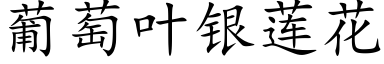 葡萄叶银莲花 (楷体矢量字库)