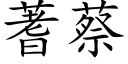 蓍蔡 (楷體矢量字庫)