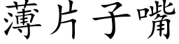 薄片子嘴 (楷体矢量字库)