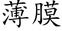 薄膜 (楷體矢量字庫)