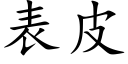 表皮 (楷體矢量字庫)