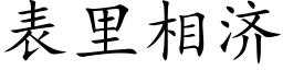 表裡相濟 (楷體矢量字庫)