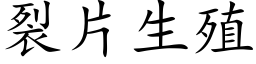 裂片生殖 (楷体矢量字库)