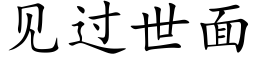 見過世面 (楷體矢量字庫)