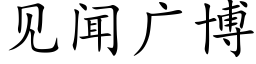 見聞廣博 (楷體矢量字庫)