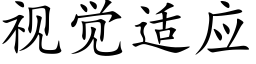 视觉适应 (楷体矢量字库)