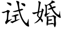 試婚 (楷體矢量字庫)