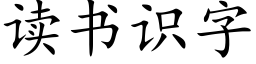 讀書識字 (楷體矢量字庫)