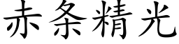 赤条精光 (楷体矢量字库)