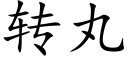 轉丸 (楷體矢量字庫)