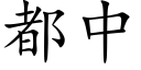 都中 (楷体矢量字库)