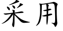 采用 (楷体矢量字库)