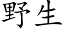 野生 (楷体矢量字库)