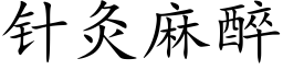 针灸麻醉 (楷体矢量字库)