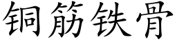 銅筋鐵骨 (楷體矢量字庫)